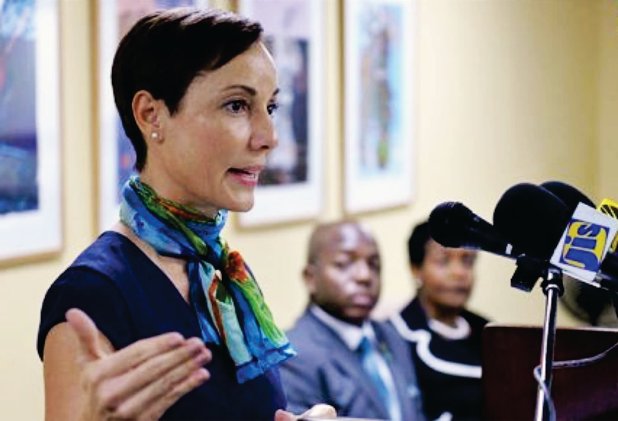 The Jamaica Diaspora Conference in Jamaica