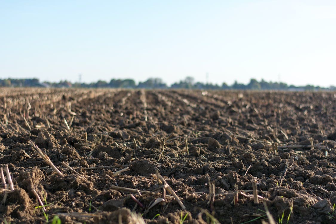 Date extended for Florida landowners to sign up for conservation easement program