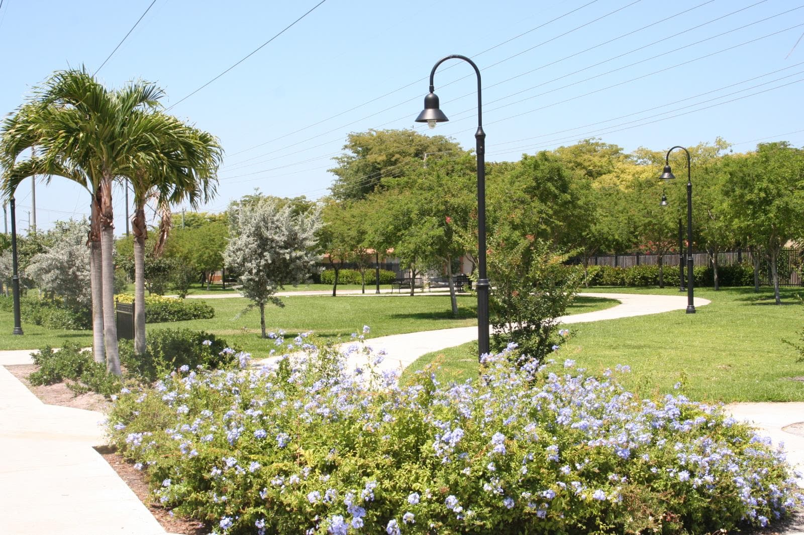 City of Lauderhill Announces More Openings and Plans for Future