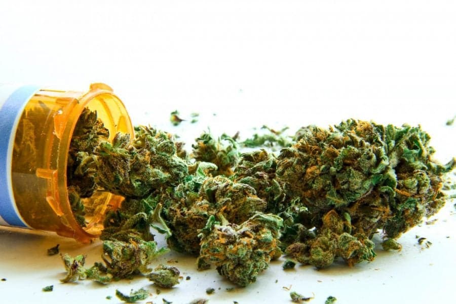 Florida NAACP and Minorities 4 Medical Marijuana endorse Florida Constitutional Amendment 2