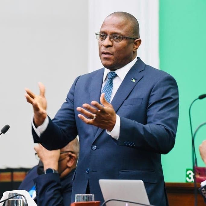 Bahamas Opposition Party Elects New Leader