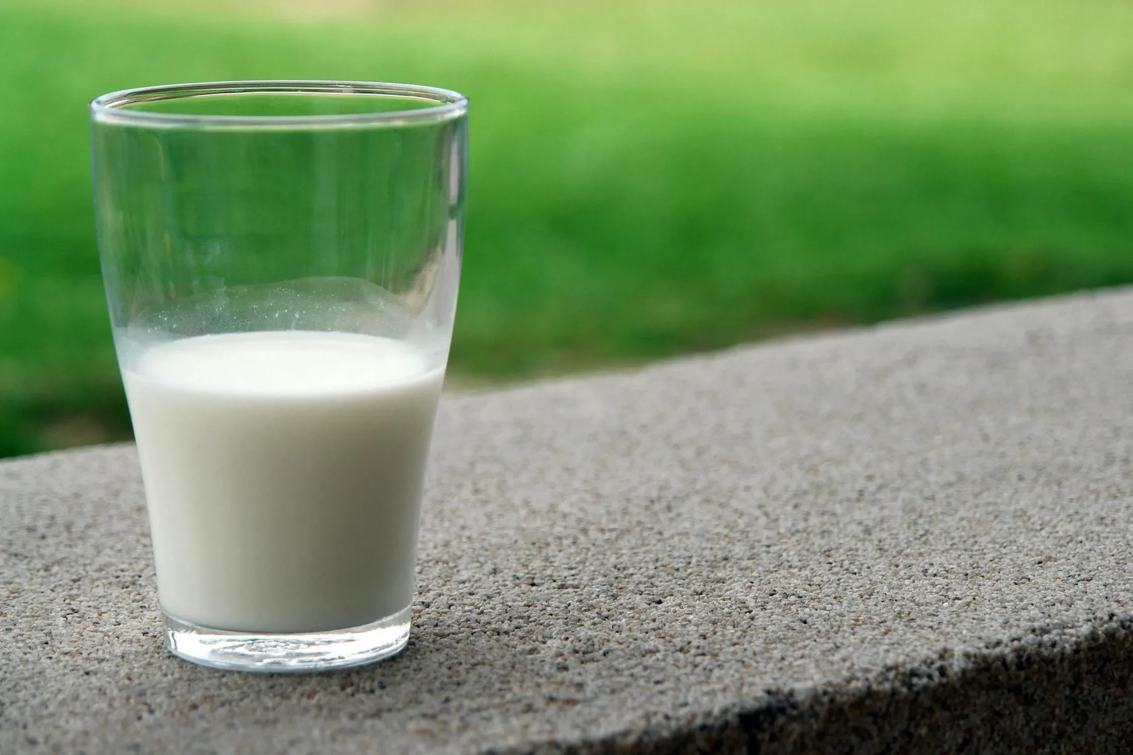 Jamaica’s agriculture ministry to revitalize dairy industry