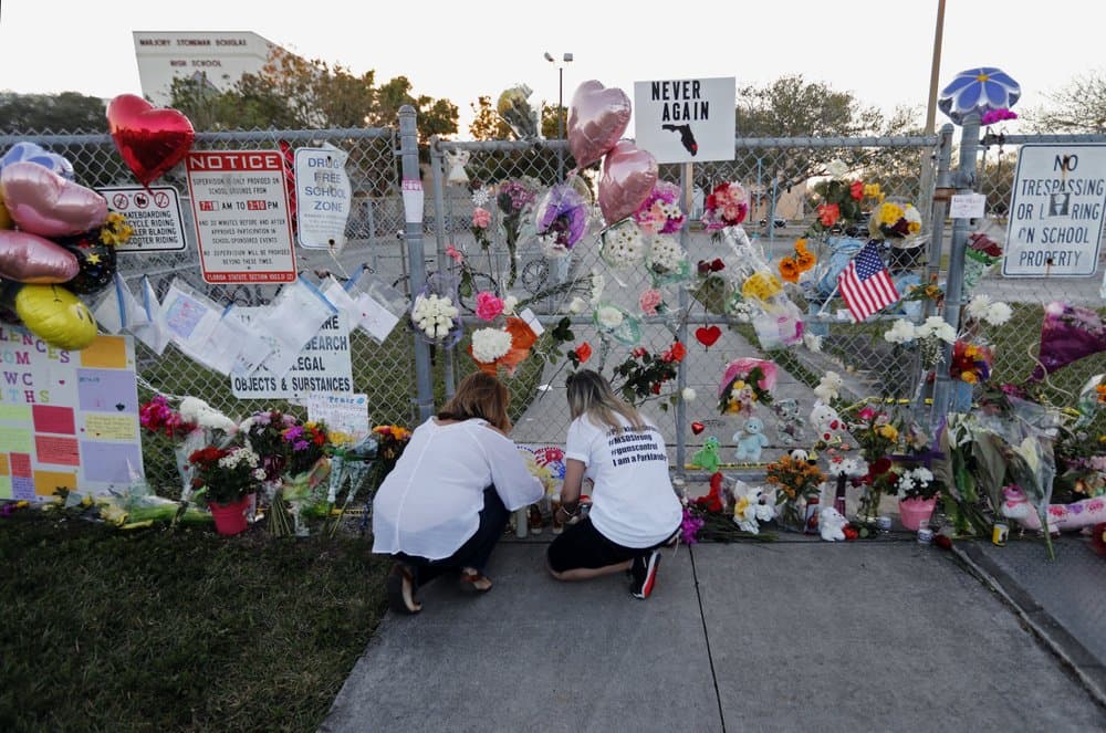 Florida House approves law allowing people under 21 to purchase guns