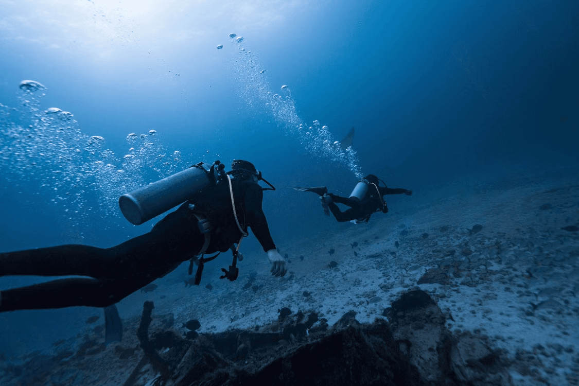 Who Should Take a Scuba Diving Course?