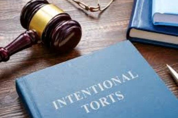 Intentional Torts: Definition and examples to understand better
