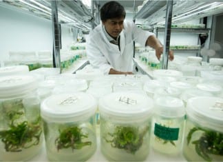 CNW90: Panel to choose medical marijuana nurseries