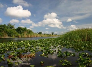Cities join Miramar’s objections to oil exploration proposal in the Everglades