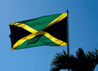 Diaspora urged to invest more in Jamaica