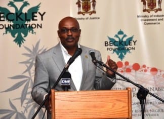 Regulations governing Jamaica’s cannabis industry to take effect early next year