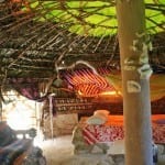 Great Huts10web