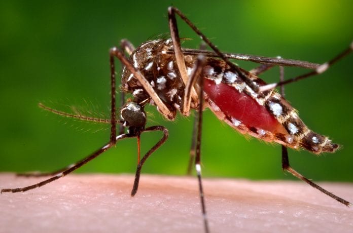 CDC zika virus funding