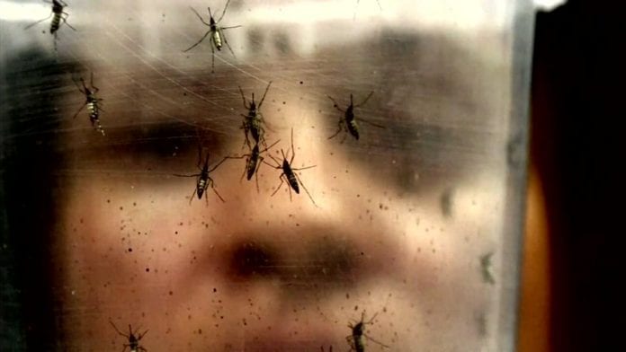 Zika virus miami-dade florida