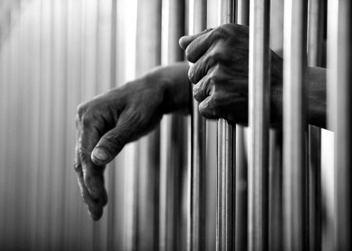 Casey Padula jailed on fraud charges - Caribbean National Weekly News