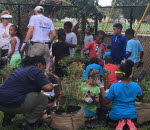 youths experiencing gardening - Caribbean National Weekly News