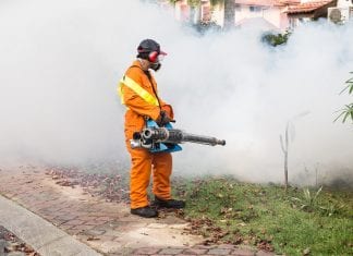 Aerial mosquito spraying scheduled for some areas after recent rain Worker spraying mosquito control - Caribbean National Weekly News