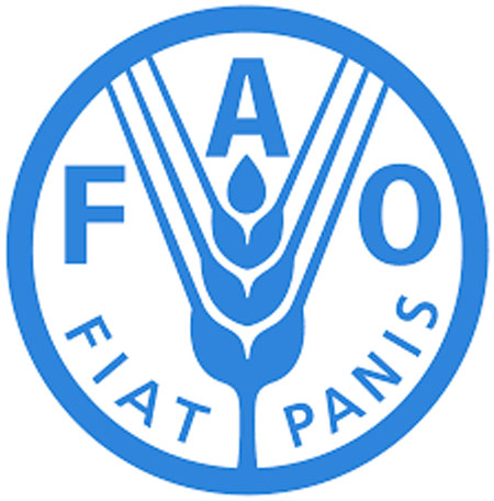 FAO says immediate food production needed in Dominica