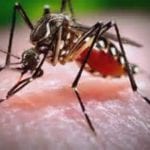 Zika