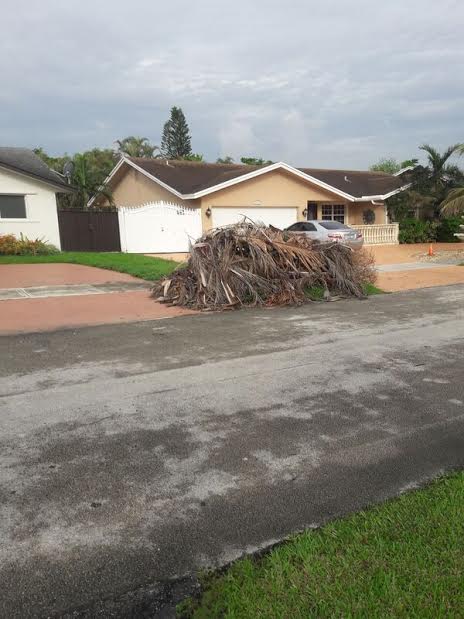 Please remove this debris!