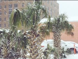 bomb cyclone