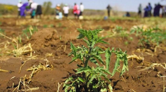 Caribbean countries urged to continue monitoring drought situation