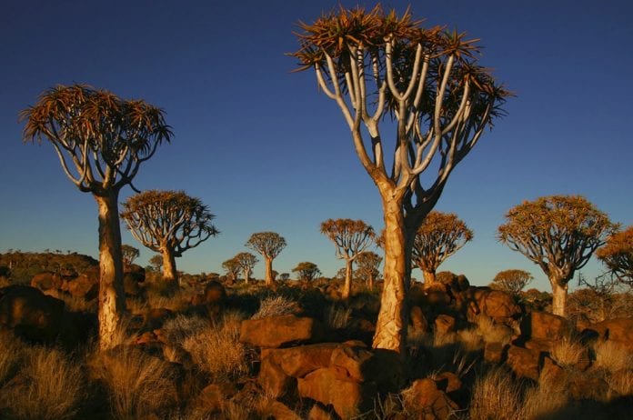 Namibia visa