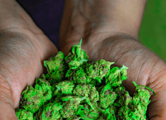 Top benefits of Blackberry Kush 28 Grams Littles Indica for stress relief Florida Cannabis equity