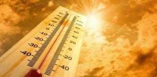 2024 “Certain” to Be Hottest Year on Record, Warns EU Climate Monitor
