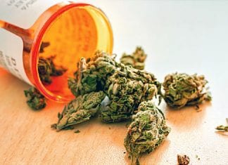 Cannabis and CBD could help relieve Alzheimer’s symptoms Grenada to Introduce Legislation to Decriminalize Cannabis Use by Mid-2025
