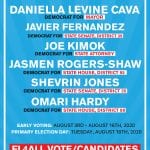 Election AD
