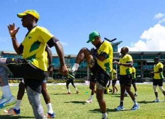 Chase and Bishop weave web of destruction as Scorpions crumble Jamaica Scorpions