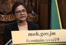 Jamaica tightens port surveillance amid hantavirus outbreak on cruise ship Jamaica CMO