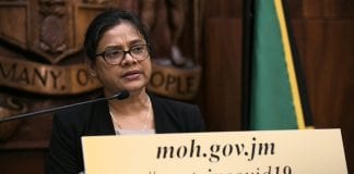 Jamaica tightens port surveillance amid hantavirus outbreak on cruise ship Jamaica CMO