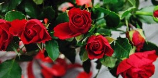 5 mistakes to avoid when buying flowers for big events Valentine's Day roses