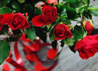 5 mistakes to avoid when buying flowers for big events Valentine's Day roses