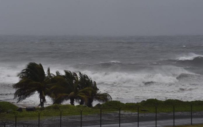 elsa hurricane