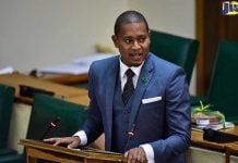 Jamaica secures US$50 million climate resilience project for farmers Jamaica to roll out citrus revitalization program