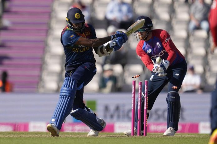 t20 world cup cricket