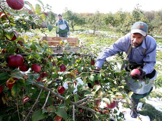 farm workers united states