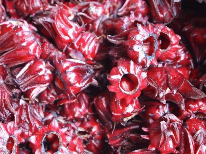 sorrel