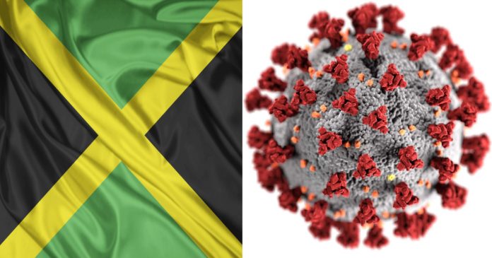 jamaica covid