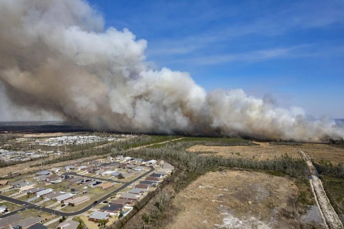 florida wildfire