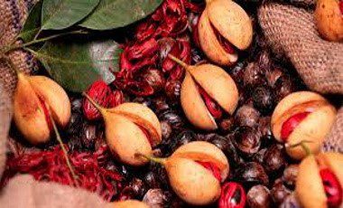 Grenada looks for new nutmeg market