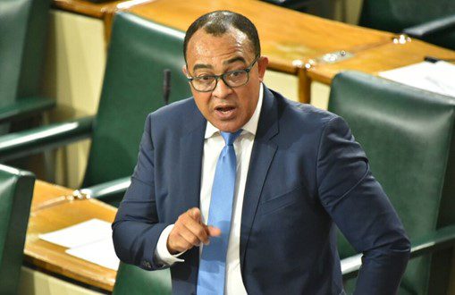 Jamaica’s health minister denounces PNP’s protest in response to deaths of babies