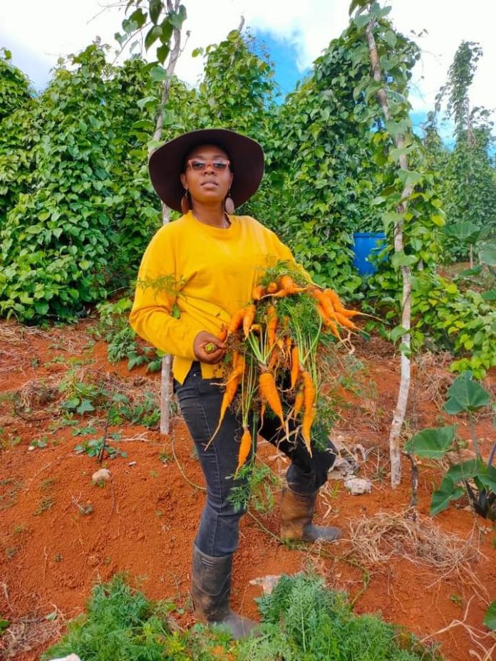 WUSC Caribbean launches FarmHER series