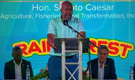 St. Vincent raises hope regarding exporting seafood to European Union