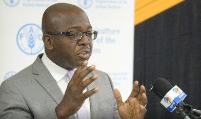 Jamaica to launch wheat flour substation program