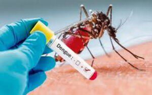 Cuba makes strides in developing vaccine against Dengue Fever