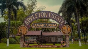 Appleton Estate St. Elizabeth Jamaica