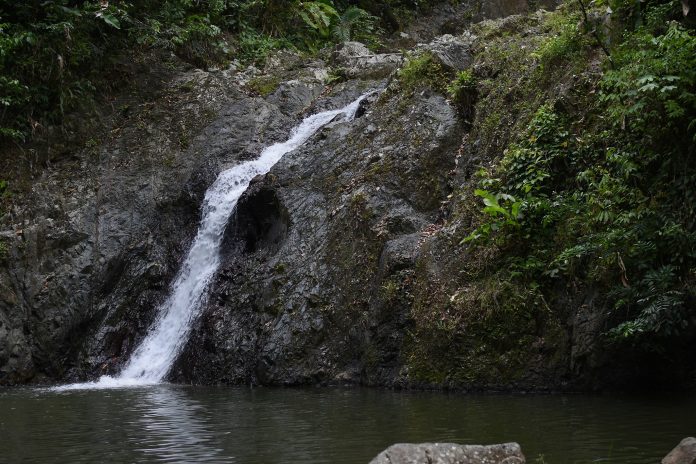 Argyle Waterfalls Tobago
