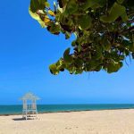 Screenshot_20220822-165955_Instagram